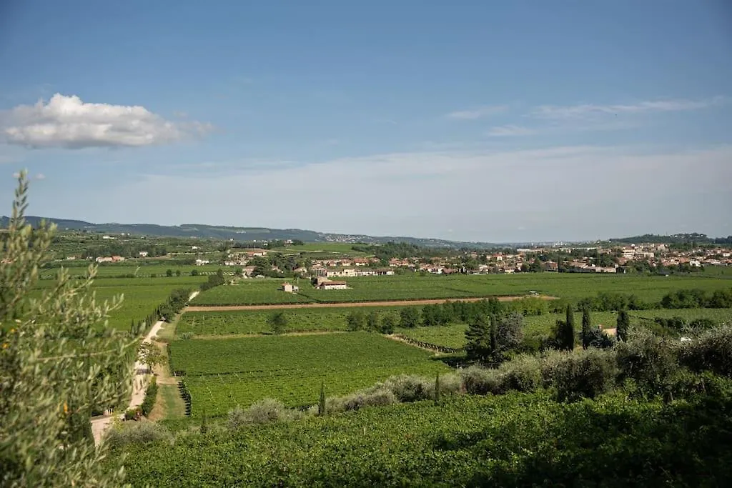 Monolocale Moderno Valpolicella Verona - Jala San Pietro in Cariano